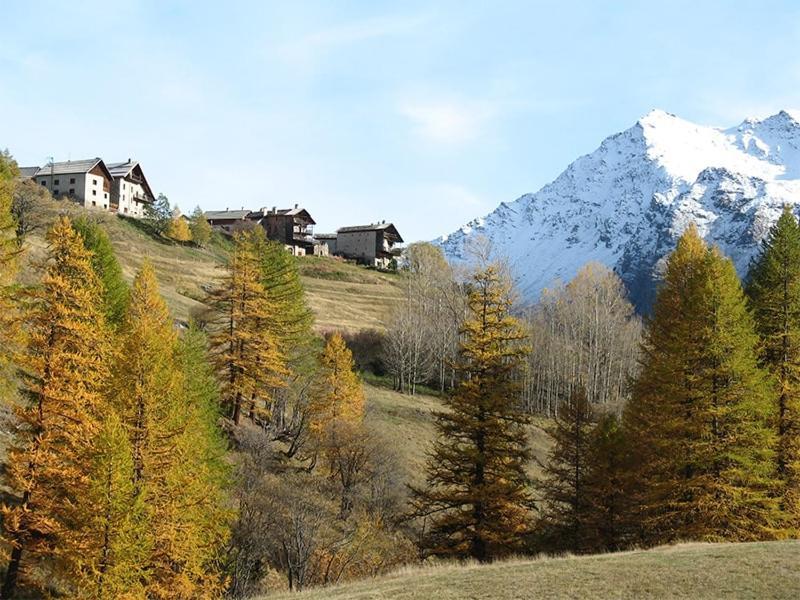 Auberge L'Estoilies Saint-Vérand Esterno foto